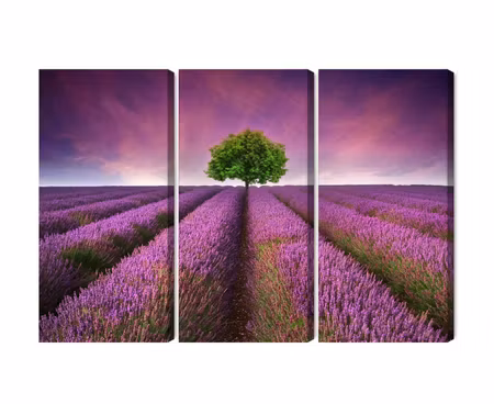 Canvastavla - Multipart a Tree in the Middle of a