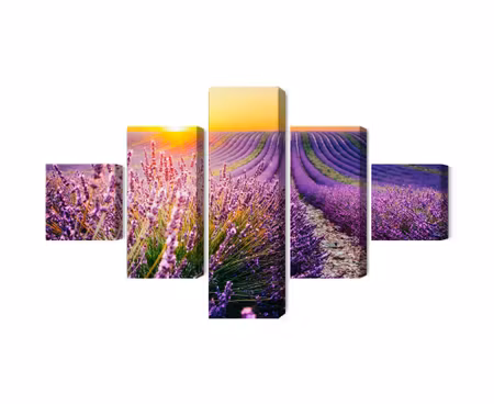 Canvastavla - Multipart Lavender Field At Sunset D