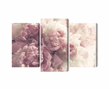 Canvastavla - Multipart Peonies in Shades of Pink