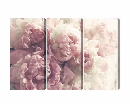 Canvastavla - Multipart Peonies in Shades of Pink