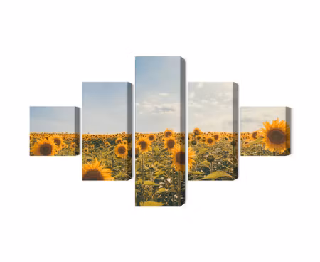 Canvastavla - Multipart Sunflower Field on a