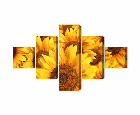Canvastavla - Multipart D Sunflower Flowers