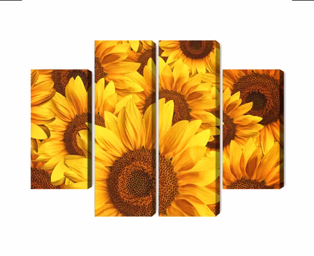 Canvastavla - Multipart D Sunflower Flowers