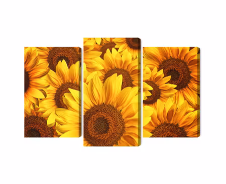 Canvastavla - Multipart D Sunflower Flowers