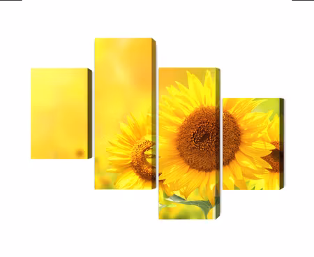 Canvastavla - Multipart Blooming Sunflowers D