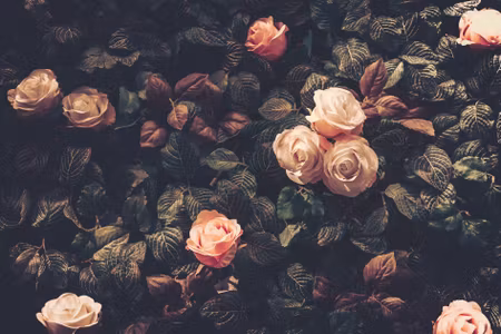 Canvastavla - Multipart Pastel Roses in Vintage
