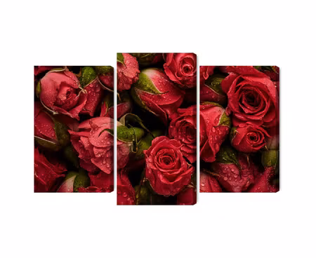 Canvastavla - Multipart Roses with Water Drops