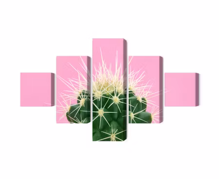Canvastavla - Multipart Cactus on a Pink