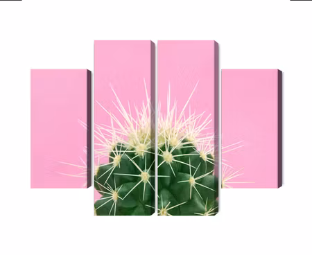 Canvastavla - Multipart Cactus on a Pink