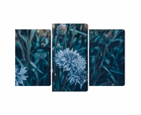 Canvastavla - Multipart Cornflowers in the Meadow