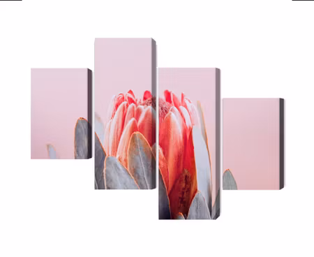 Canvastavla - Multipart Flower of the Royal
