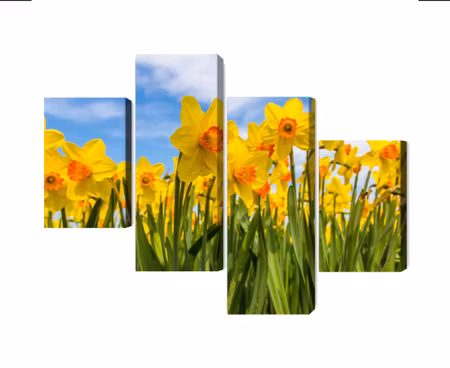 Canvastavla - Multipart Daffodil Field D