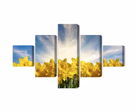 Canvastavla - Multipart D Daffodils Field