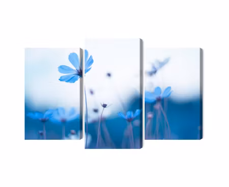 Canvastavla - Multipart Delicate Blue Flowers