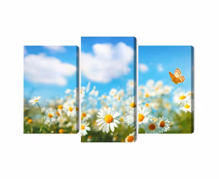 Canvastavla - Multipart D Daisy Field