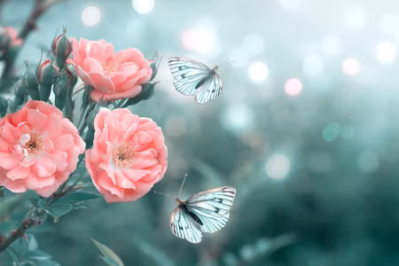 Canvastavla - Multipart Delicate Flowers and D