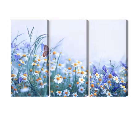 Canvastavla - Multipart Butterfly and Wildflowers