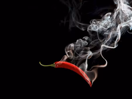 Canvastavla - Multipart Red Chili with Smoke