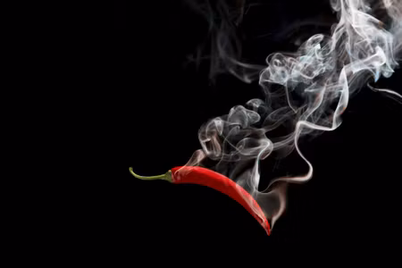 Canvastavla - Multipart Red Chili with Smoke