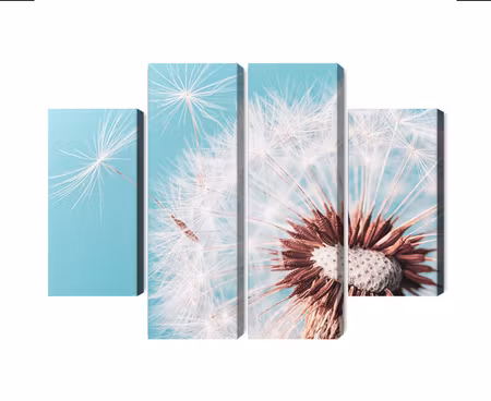 Canvastavla - Multipart Dandelion Flower on a