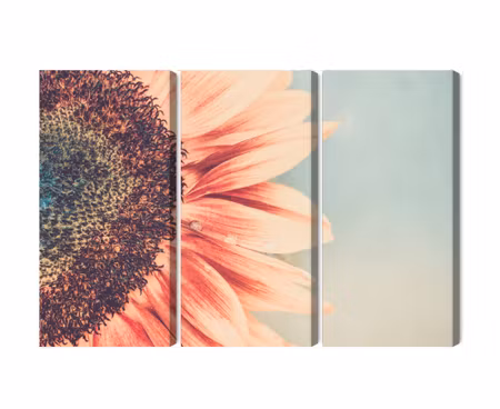 Canvastavla - Multipart Blooming Sunflower on a