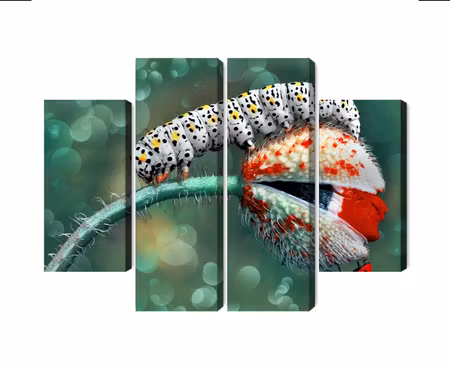 Canvastavla - Multipart a Caterpillar and a