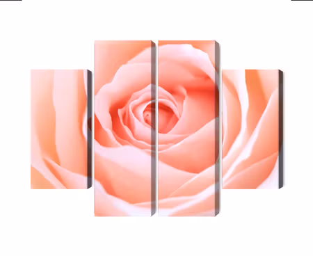 Canvastavla - Multipart Pastel Rose on a D Macro