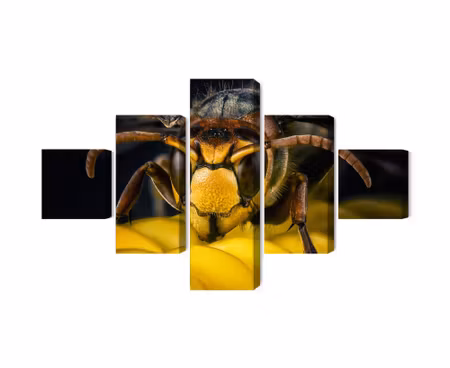 Canvastavla - Multipart Wasp on a Macro Scale