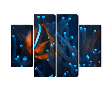 Canvastavla - Multipart Clownfish in a D Anemone