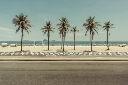 Canvastavla - Multipart Palm Trees on the Ipanema