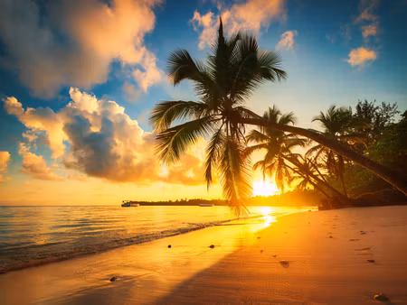 Canvastavla - Multipart Tropical Beach in Punta