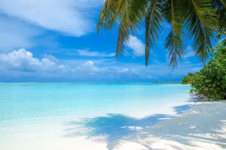 Canvastavla - Multipart a Beach in the Maldives