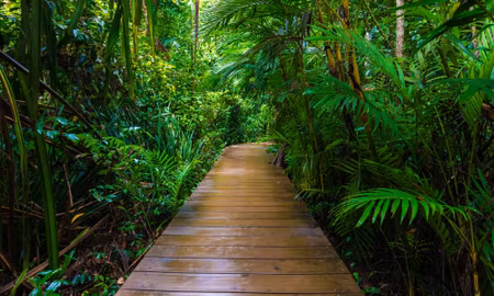Canvastavla - Multipart Wooden Bridge in a