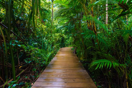 Canvastavla - Multipart Wooden Bridge in a