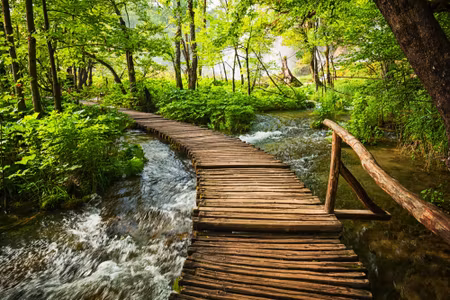 Canvastavla - Multipart Wooden Pier in the Forest