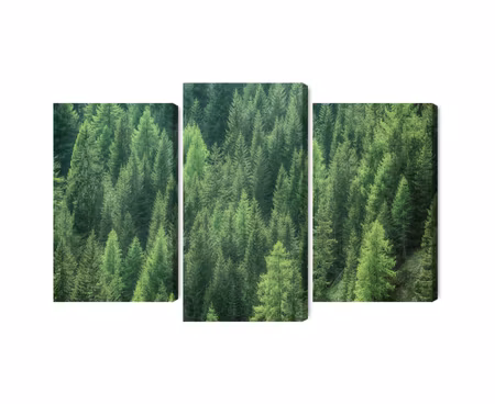 Canvastavla - Multipart D Green Forest View