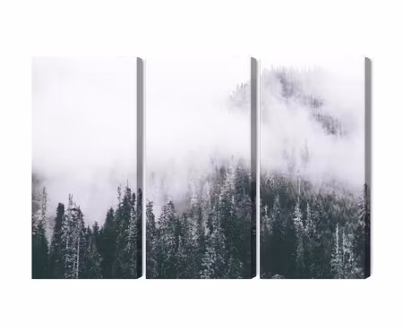 Canvastavla - Multipart a Forest Shrouded in Fog
