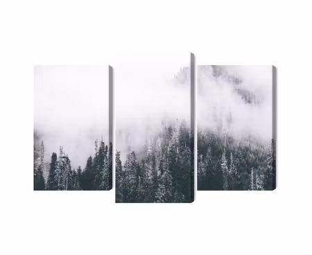 Canvastavla - Multipart a Forest Shrouded in Fog