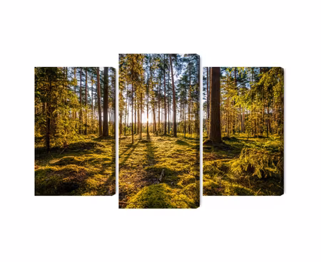 Canvastavla - Multipart D Sunny Forest Landscape