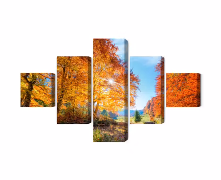 Canvastavla - Multipart Colorful Autumn Trees