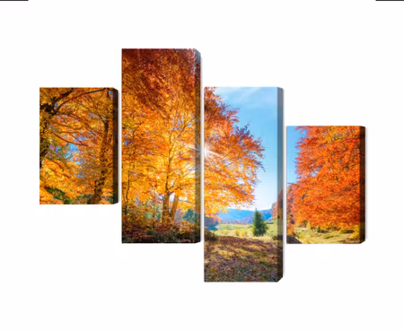 Canvastavla - Multipart Colorful Autumn Trees