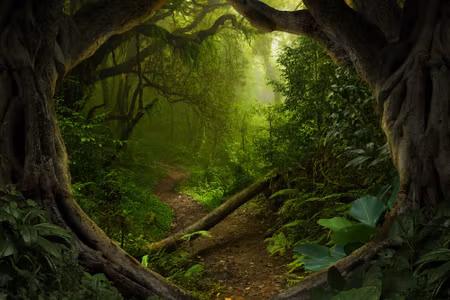 Canvastavla - Multipart Path in a Tropical Forest