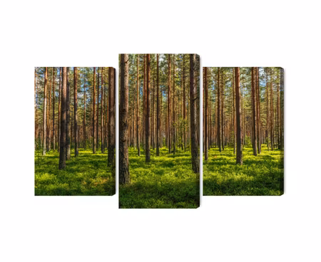 Canvastavla - Multipart D Pine Forest
