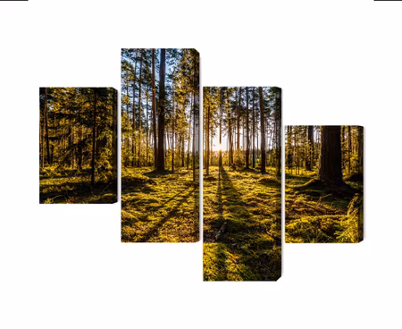 Canvastavla - Multipart Morning Sun Rays in the