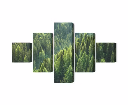 Canvastavla - Multipart the Green of the Forest