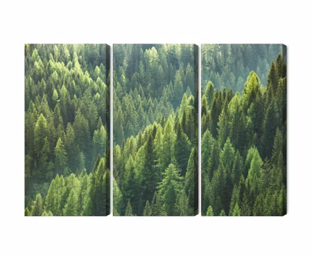 Canvastavla - Multipart the Green of the Forest