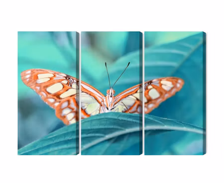 Canvastavla - Multipart a Butterfly on a Leaf on