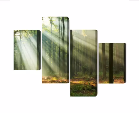Canvastavla - Multipart Forest Landscape in the