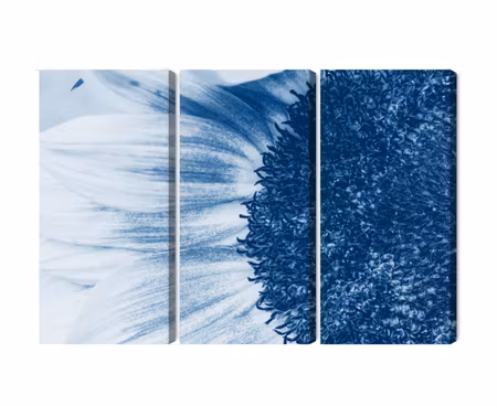 Canvastavla - Multipart Blue Sunflower on a Macro