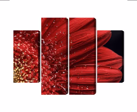 Canvastavla - Multipart Flower Petals on a Macro